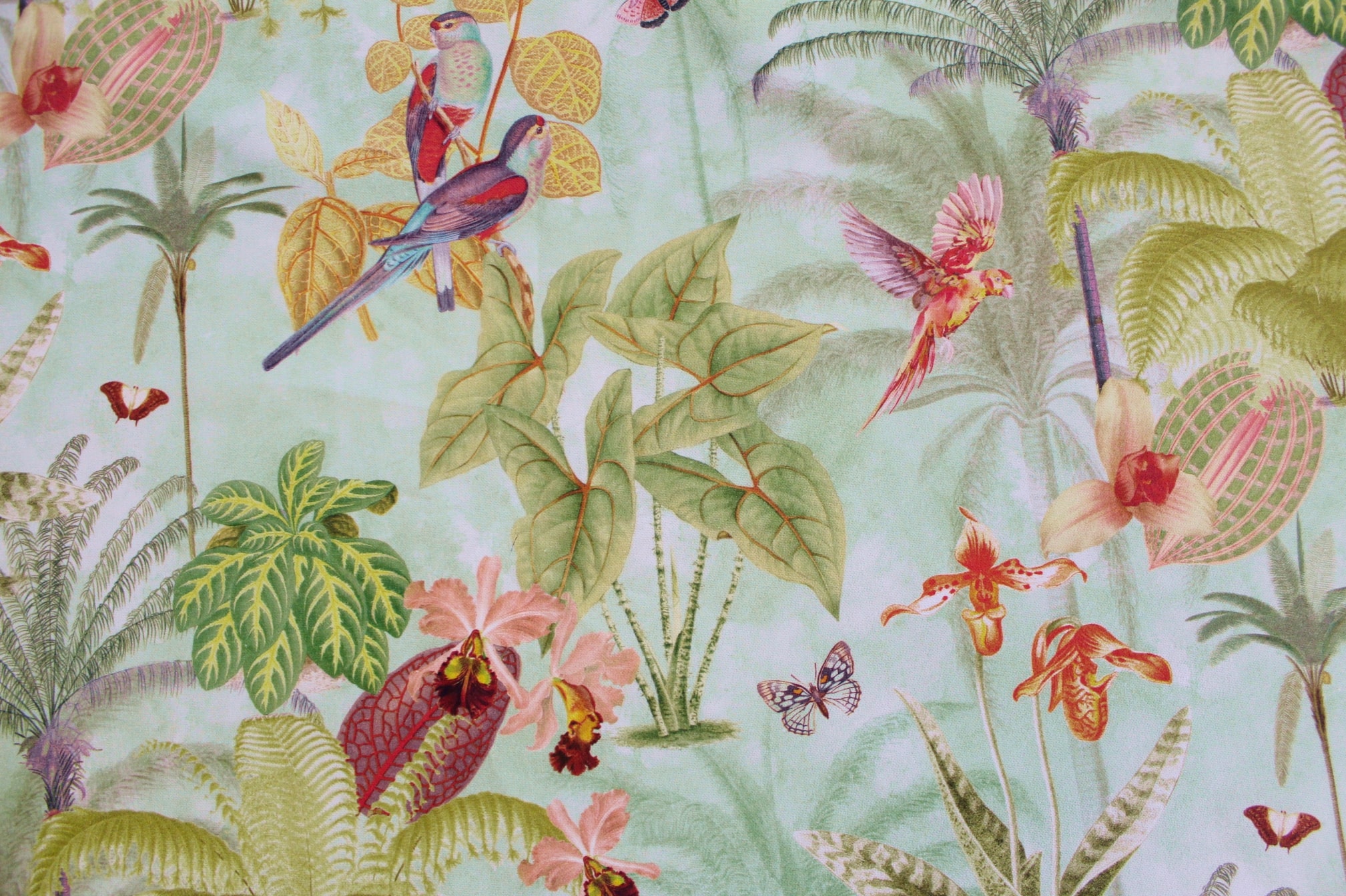 tessuti-per-arredi-in-cotone-organico-per-arredamento-ristoranti-e-bar-con-texture-piante-uccelli-pappagalli-palme-lively-jungle1